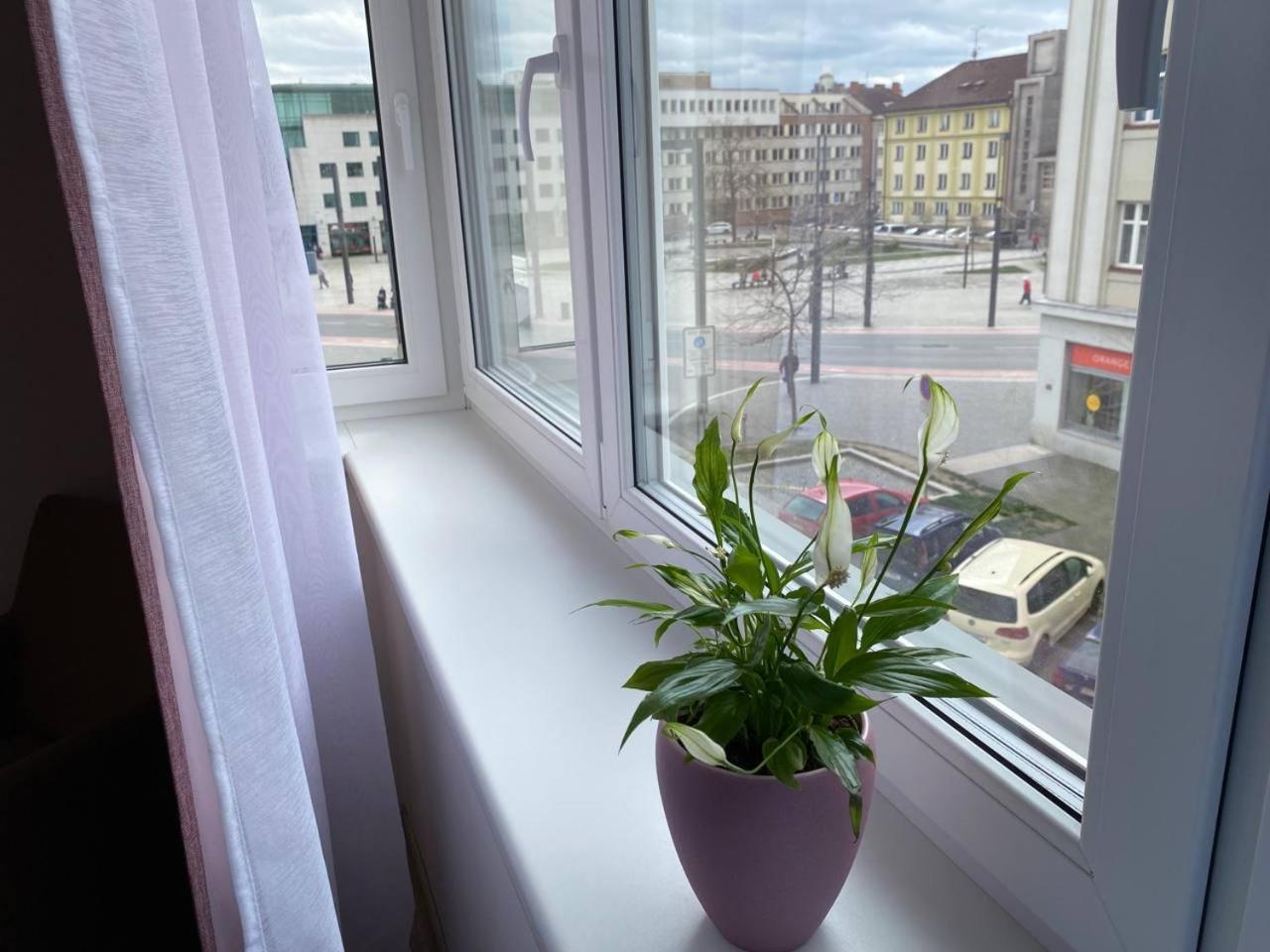 Appartement Perla Hradce 302 à Hradec Králové Extérieur photo