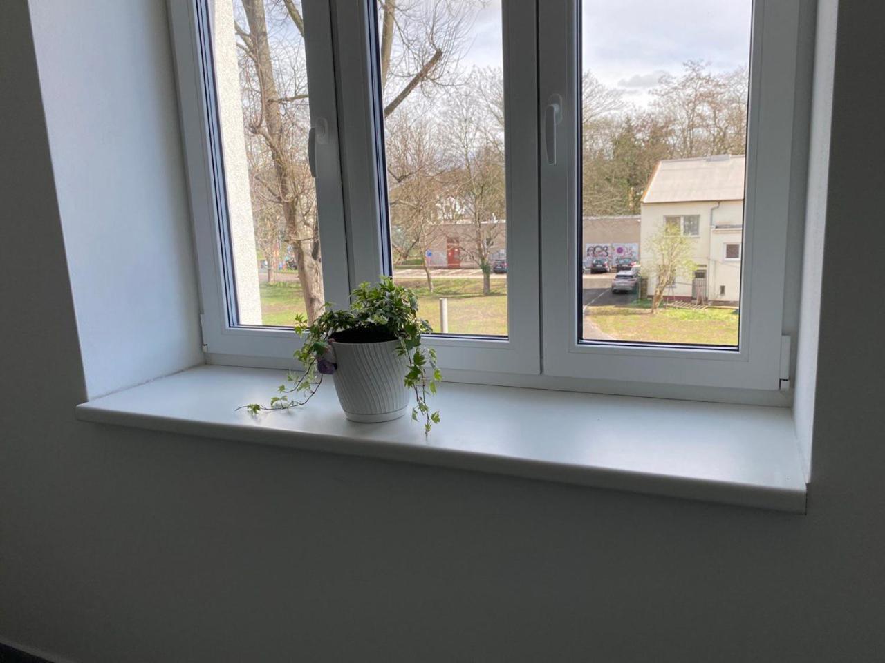 Appartement Perla Hradce 302 à Hradec Králové Extérieur photo